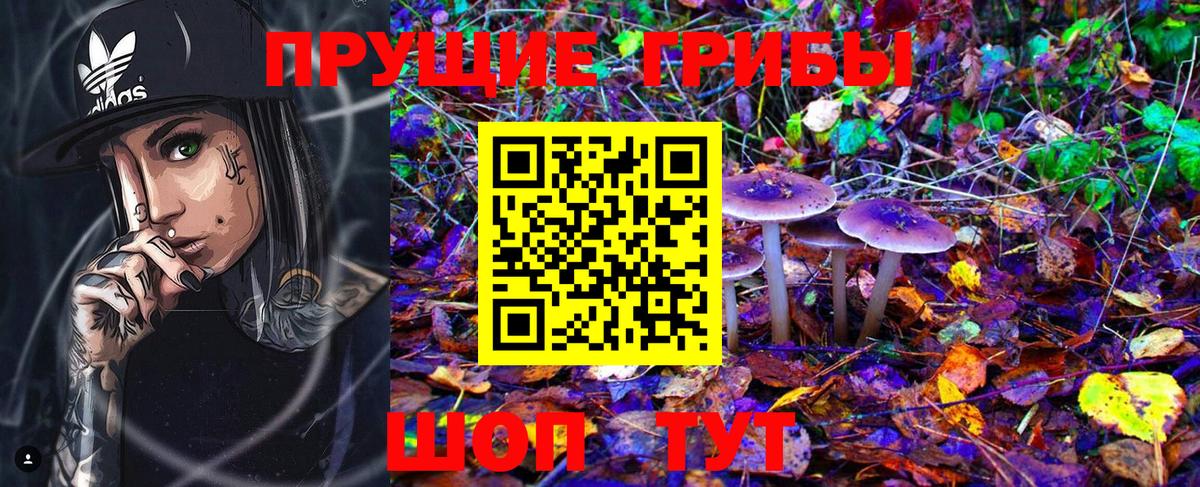 где можно купить   Галлюциногенные грибы мицелий  Екатеринбург  Галлюциногенные грибы GOLDEN TEACHER 