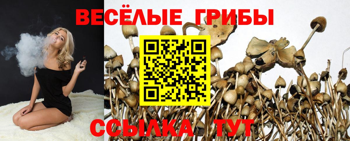Псилоцибиновые грибы Psilocybine cubensis Екатеринбург