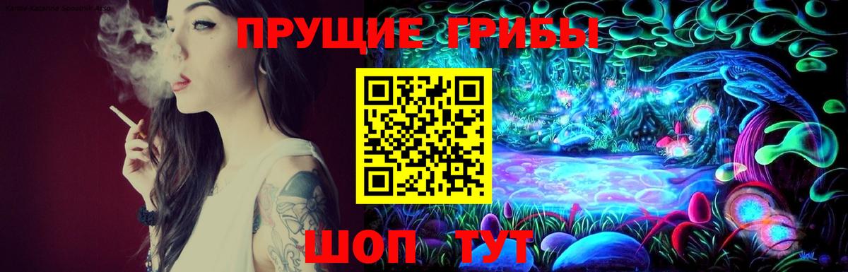 Галлюциногенные грибы Psilocybine cubensis Екатеринбург