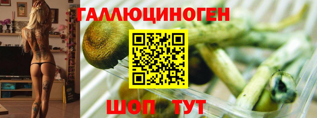 Меф МЯУ МЯУ   Екатеринбург  Где продают наркотики?  Марихуана  КОКАИН  Вход с VPN  ГАШ  ЭКСТАЗИ 